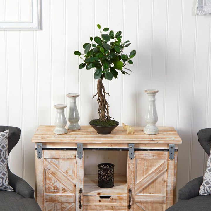 Hivvago 2 Feet Ficus Bonsai Artificial Tree in Decorative Planter