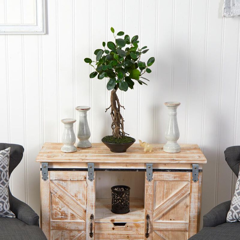 Hivvago 2 Feet Ficus Bonsai Artificial Tree in Decorative Planter