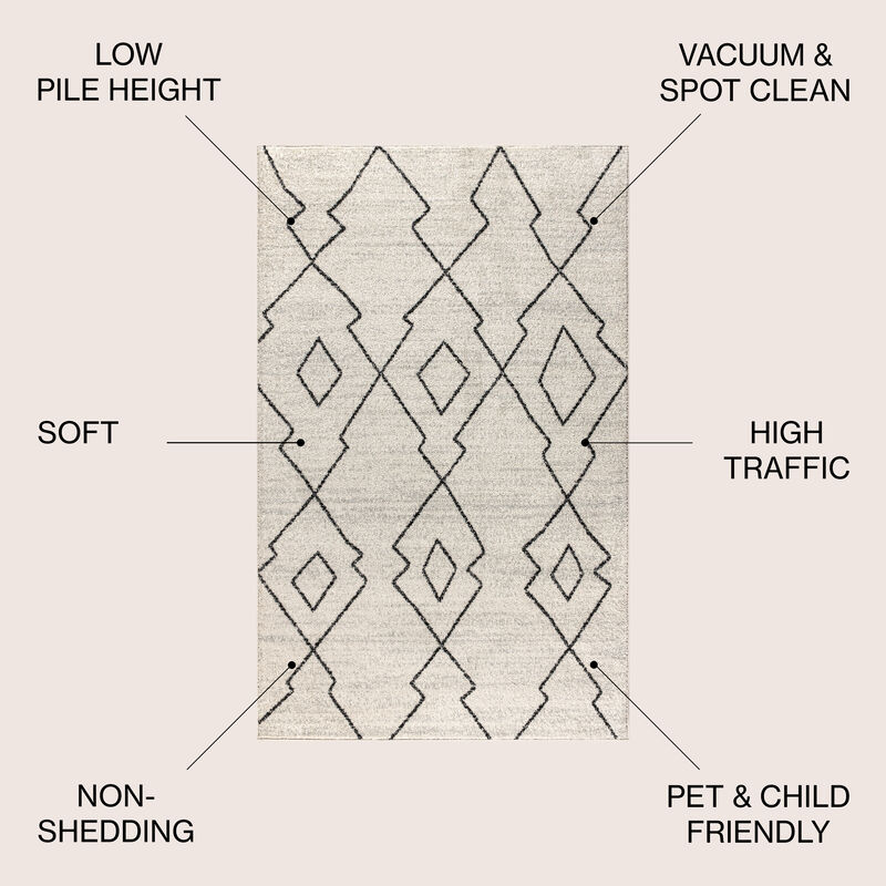 Alia Moroccan Beni Souk Area Rug