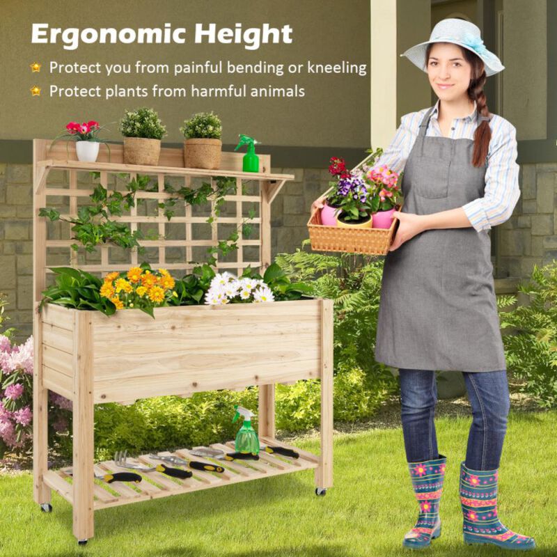 Hivvago Wooden Raised Garden Bed with Wheels Trellis and Storage Shelf