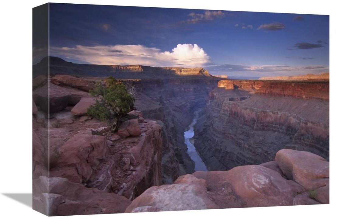 Colorado River from Toroweap Overlook, Grand Canyon National Park, Arizona-Canvas Art-16x12
