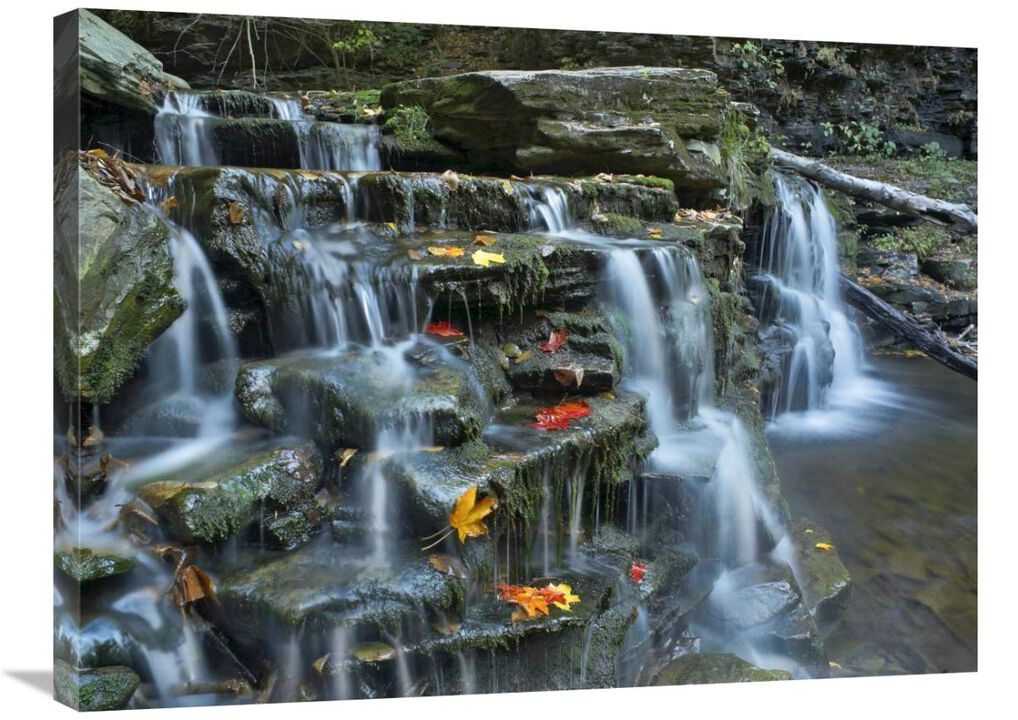 Kitchen Creek cascades, autumn, Ricketts Glen State Park, Pennsylvania-Canvas Art-32x24