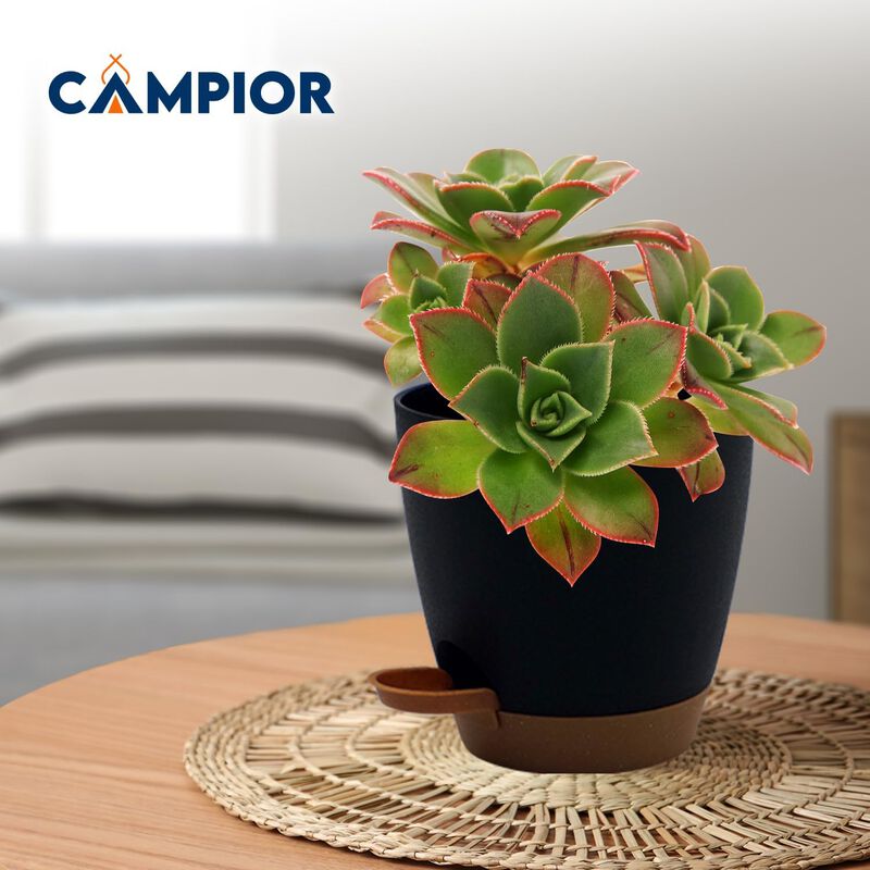 Campior Self-Watering Planters - 5 Size Indoor and Outdoor Plant Pots with Drainage Holes and Wick Rope, Plastic Pot for Succulents, Flowers, and Plants, (7”,6.5”,6”,5.5”,5” Inches), Pack of 20, Black