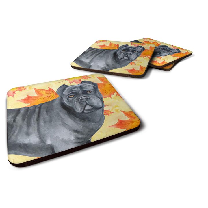 Caroline's Treasures Cane Corso Fall Decorative coasters, Multicolor
