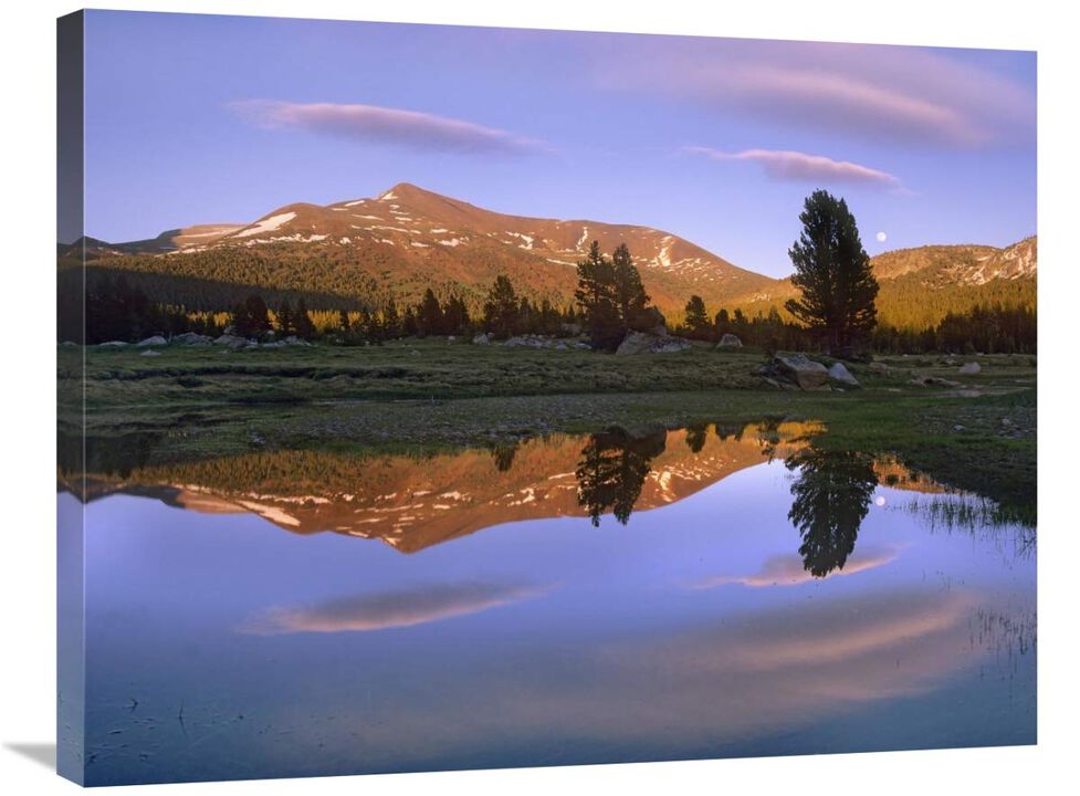 Mount Dana reflected in pond, Yosemite National Park, California-Canvas Art-32x24