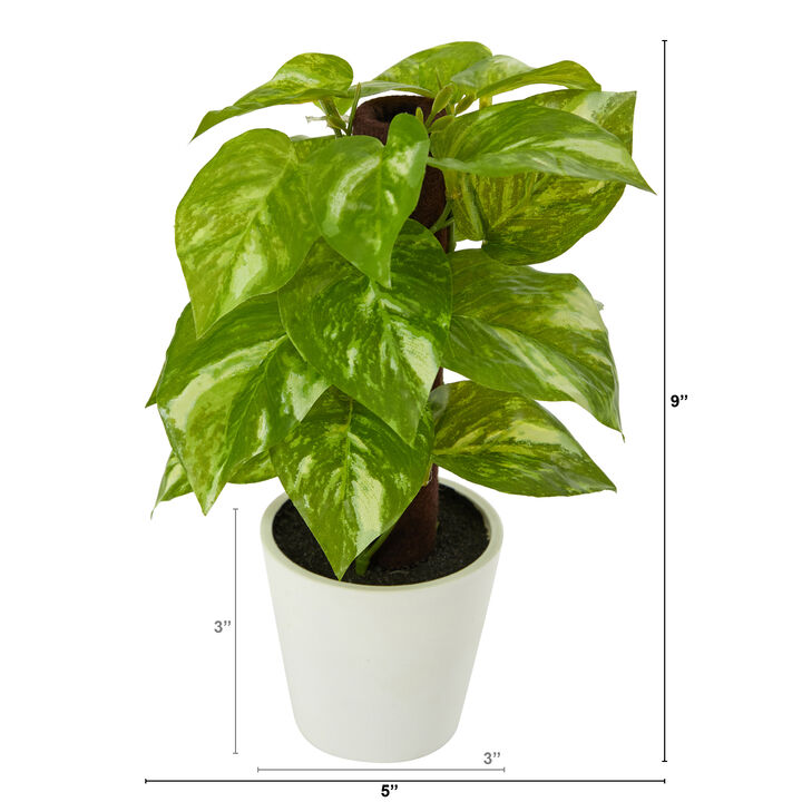 Hivvago 9" Pothos Artificial Plant in White Planter (Real Touch)