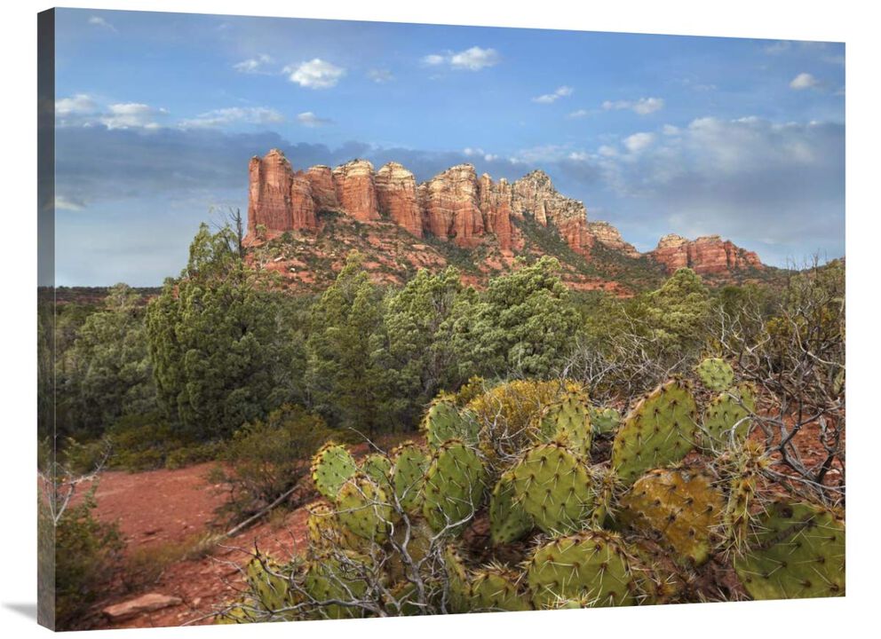 Coffee Pot Rock near Sedona, Arizona-Canvas Art-40x30