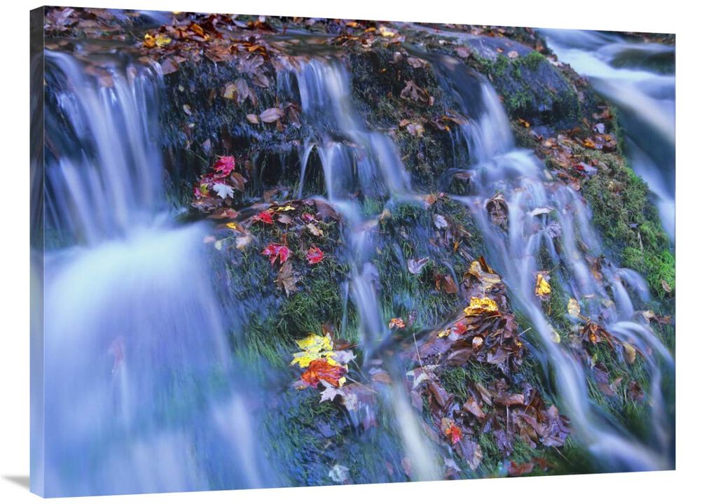 Laurel Creek cascades, Great Smoky Mountains National Park, Tennessee-Canvas Art-40x30