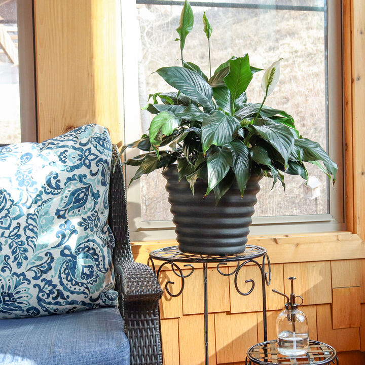 Molly Metal Outdoor Planter Set of 4