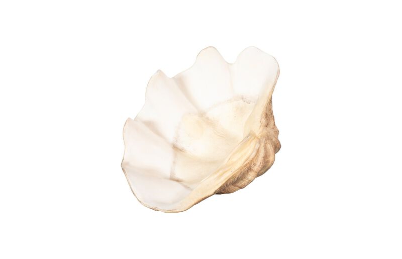 Cast Clam Small Shell Bowl