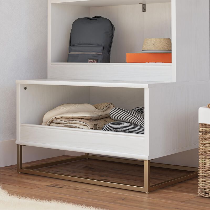 Charlie Kids Multi-Use Toy Storage Organizer & Bookcase