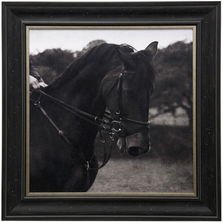 Dressage Framed Print