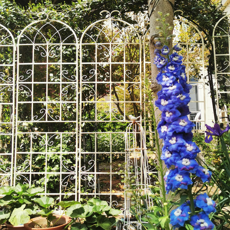 Streamdale Metal Garden Trellis 86.7" X 19.7" for Climbing Plants