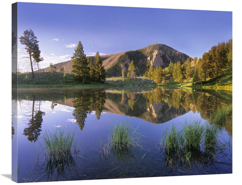 Bunsen Peak reflected in lake, Yellowstone National Park, Wyoming-Canvas Art-35x28