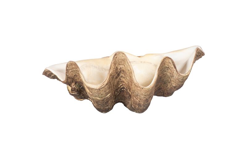 Cast Clam Small Shell Bowl