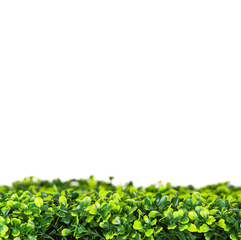 Artificial Mixed Boxwood Hedge Panel Wall 40" x 40" 11SQ FT Commercial Grade UV Resistant