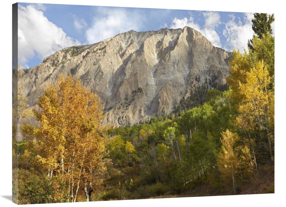 Marcellina Mountain near Crested Butte, Colorado-Canvas Art-40x30