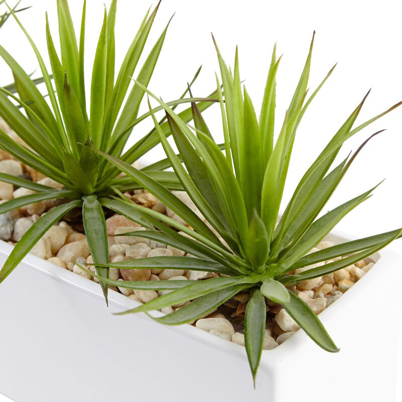 Hivvago Mini Agave in Rectangular Ceramic