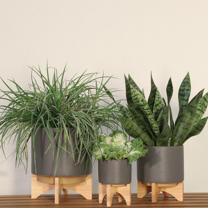 5" Planter W/ Wood Stand