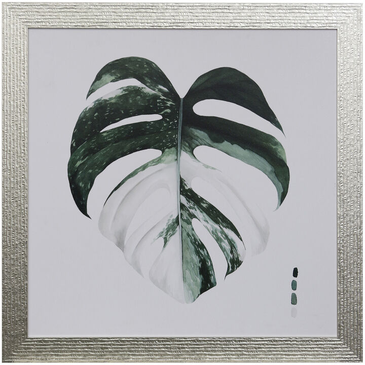 Variegated Monsters I Framed Print