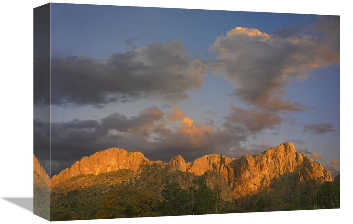 Sunlight illuminating Chisos Mountains, Chihuahuan Desert, Texas-Canvas Art-16x12