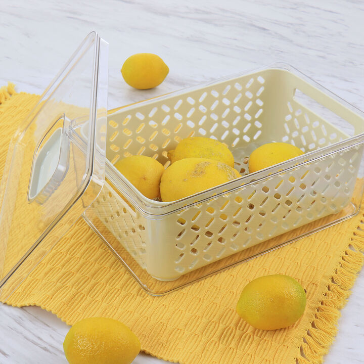 Martha Stewart Medium Fresh Keeper Container Set