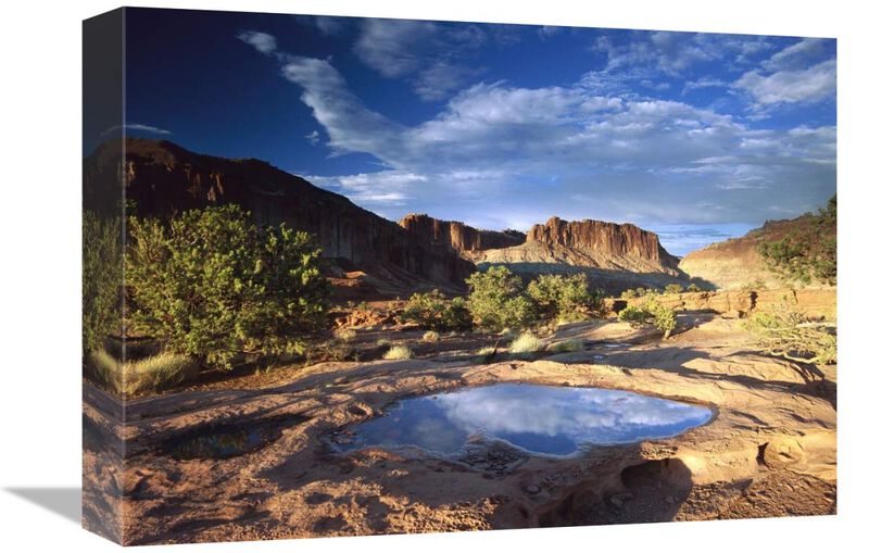 Water pothole at Panorama Point, Capitol Reef National Park, Utah-Canvas Art-16x12