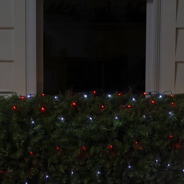 4' x 6' Red and White Micro LED Net Style Christmas Lights  Brown Wire