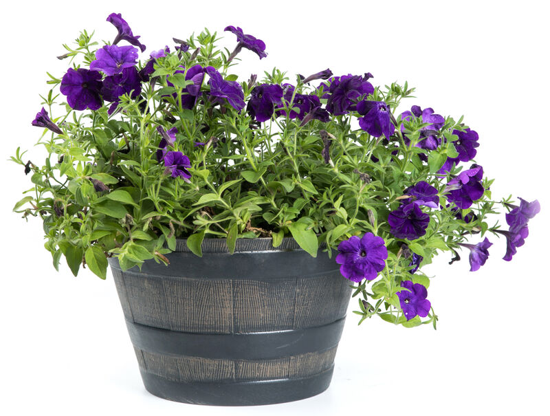 Rustic Wood - Look Plastic Half Barrel Flower Pot, Pack of 4