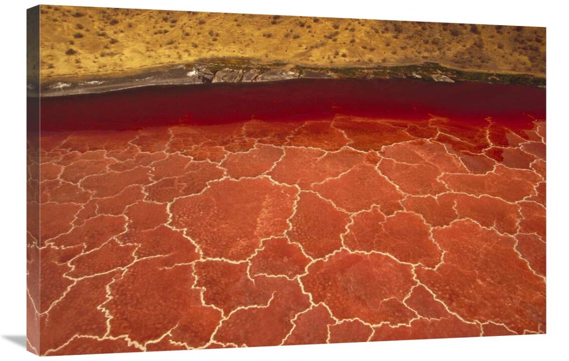 Soda formations on the surface of Lake Natron, Tanzania, east Africa-Canvas Art-36x24