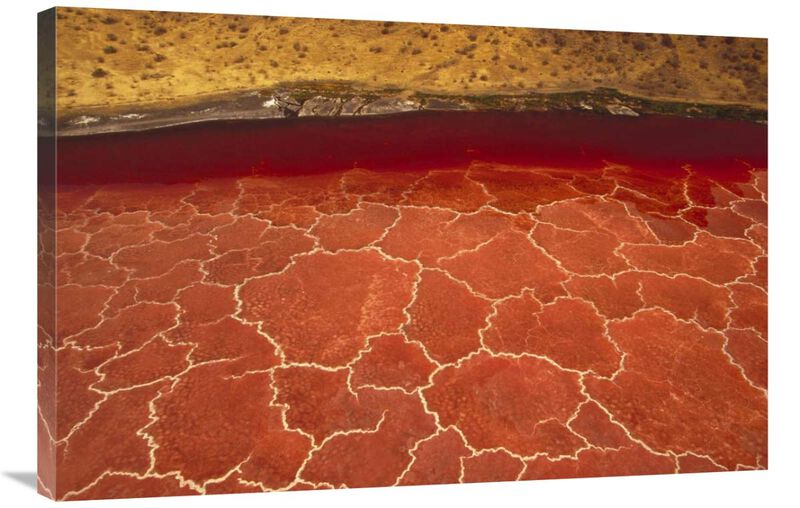 Soda formations on the surface of Lake Natron, Tanzania, east Africa-Canvas Art-36x24