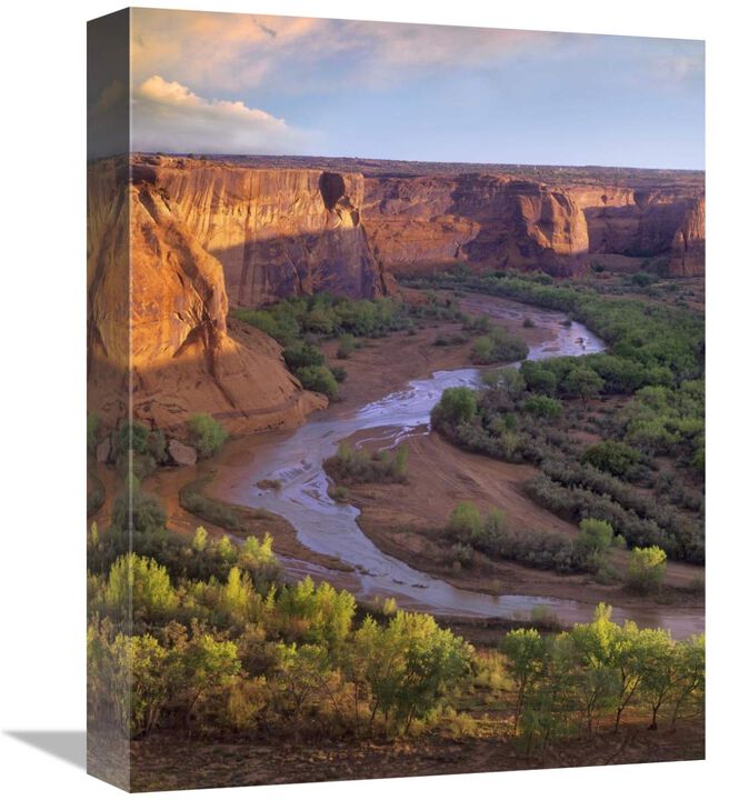 View from Tsegi Overlook, Cayon de Chelly National Monument, Arizona-Canvas Art-12x16