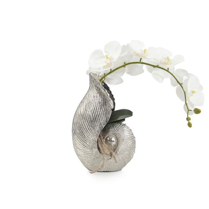 Nautilus Orchid