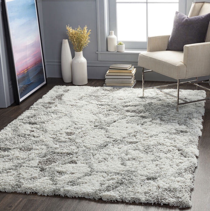 Alta Shag ASG-2302 5'3' x 7' Gray Rug
