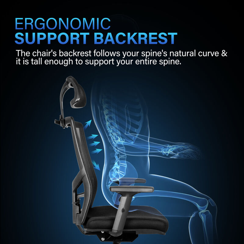 Office Ergonomic Mesh Computer Chair With Wheels & Arms & Lumbar Support, 02B, Black-Pro