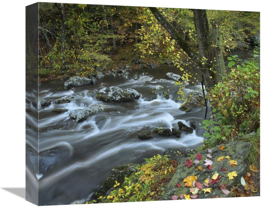 Little River, Great Smoky Mountains National Park, Tennessee-Canvas Art-16x14.08