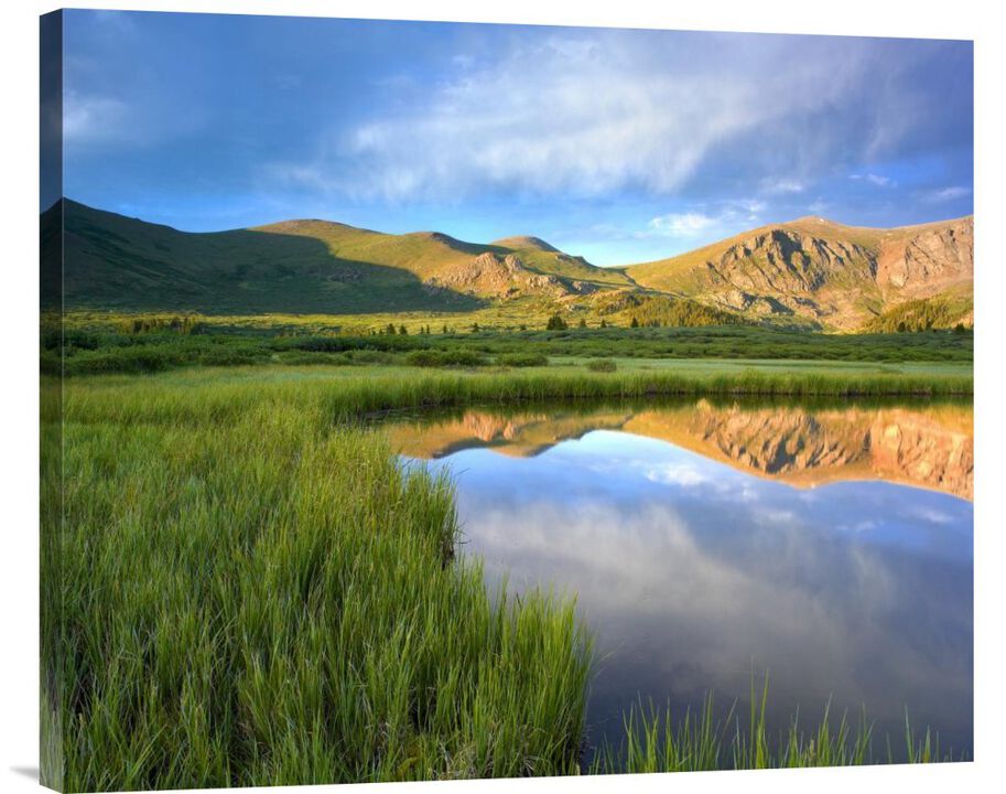 Mount Bierstadt from Guanella Pass reflected in pond, Colorado-Canvas Art-30x24.9