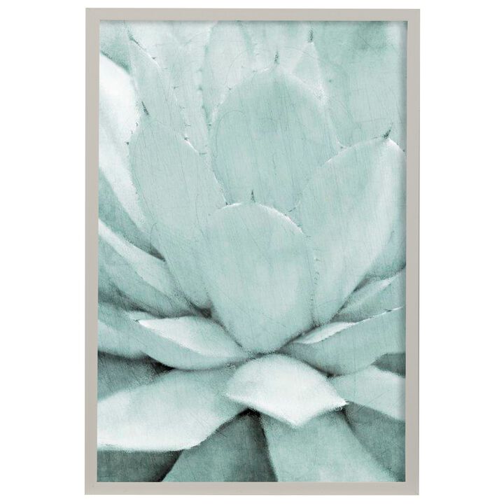 Agave I Framed Print