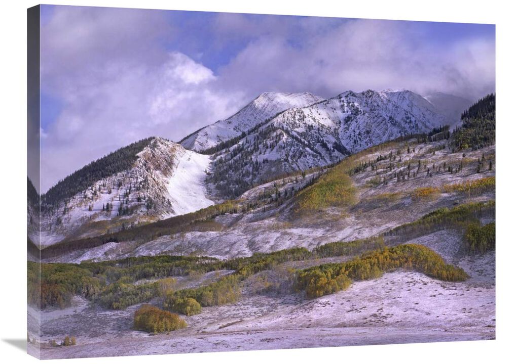 Elk Mountains with snow in autumn, Colorado-Canvas Art-32x24
