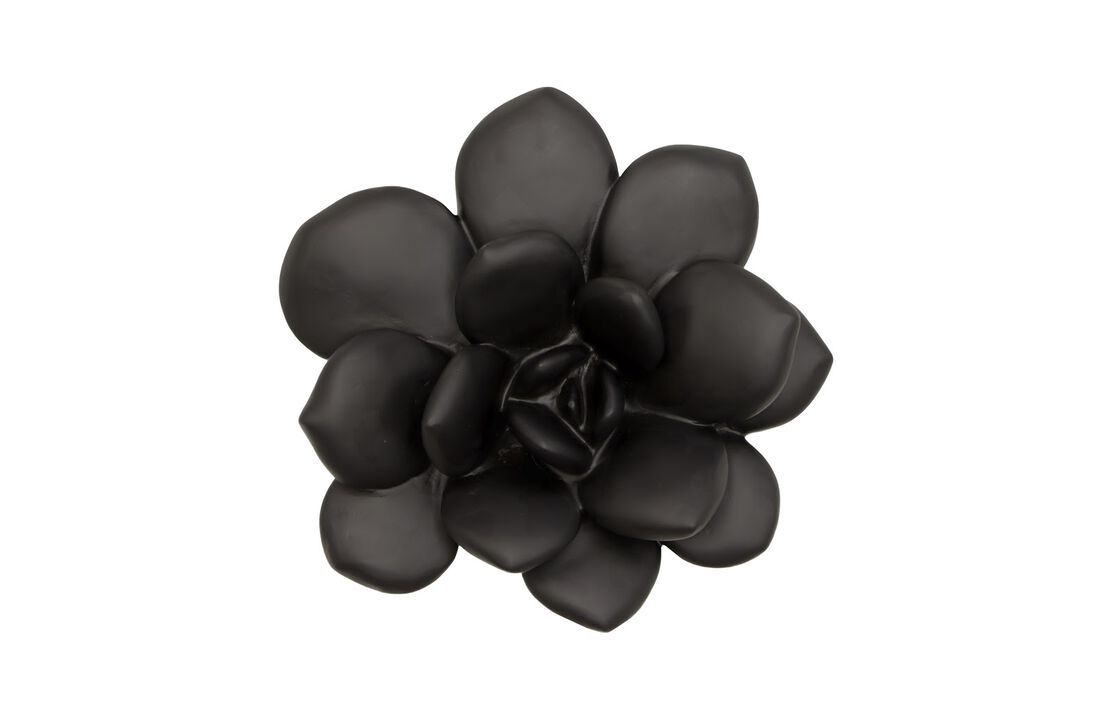 Laui Succulent Wall Art in Matte Black