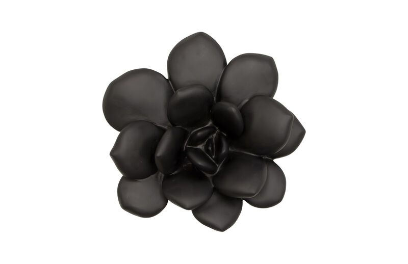 Laui Succulent Wall Art in Matte Black