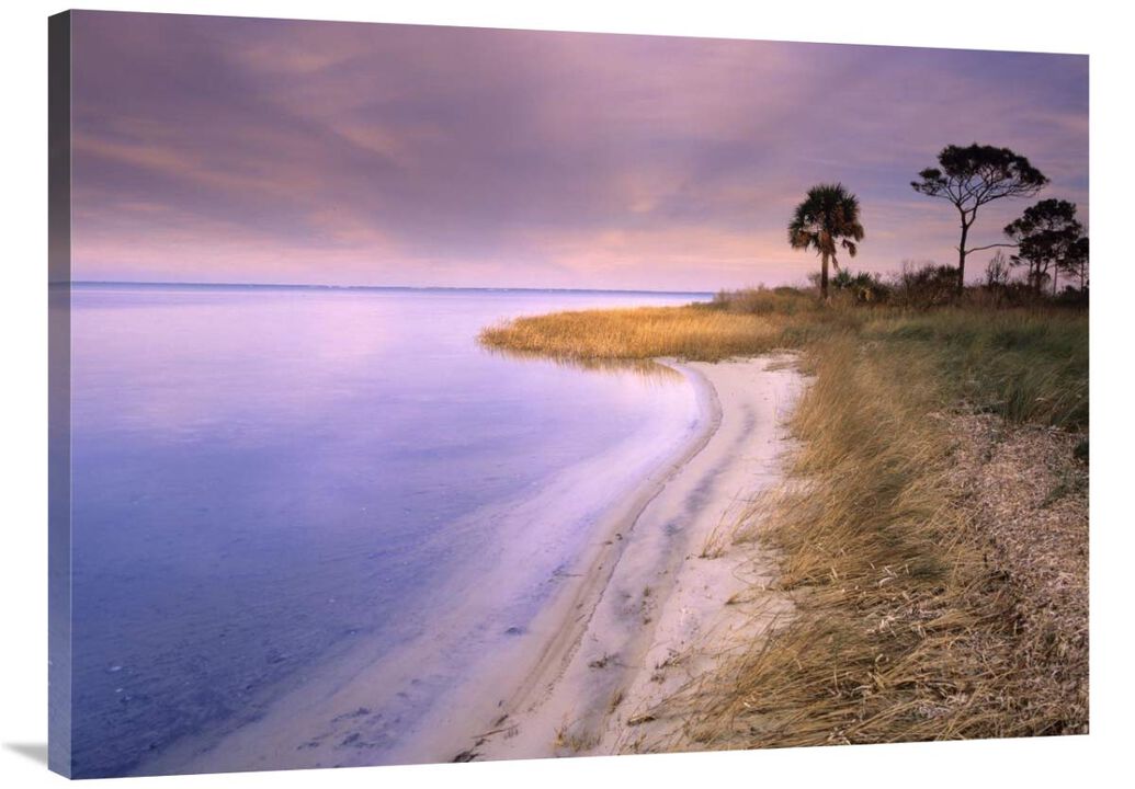 Beach along Saint Josephs Bay, Florida-Canvas Art-40x30