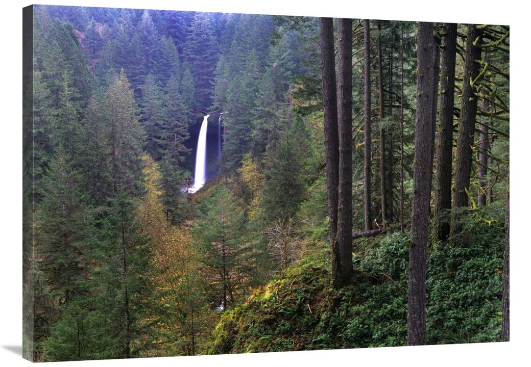 North Falls, Silver Falls State Park near Salem, Oregon-Canvas Art-40x30