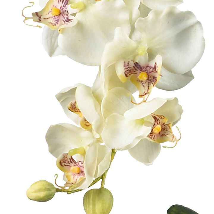 Nearly Natural 18-in Phalaenopsis w/Glass Vase