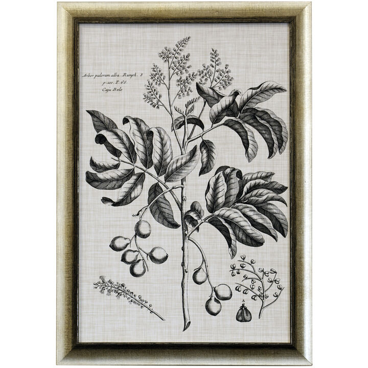 Black & Oatmeal Botanical IV