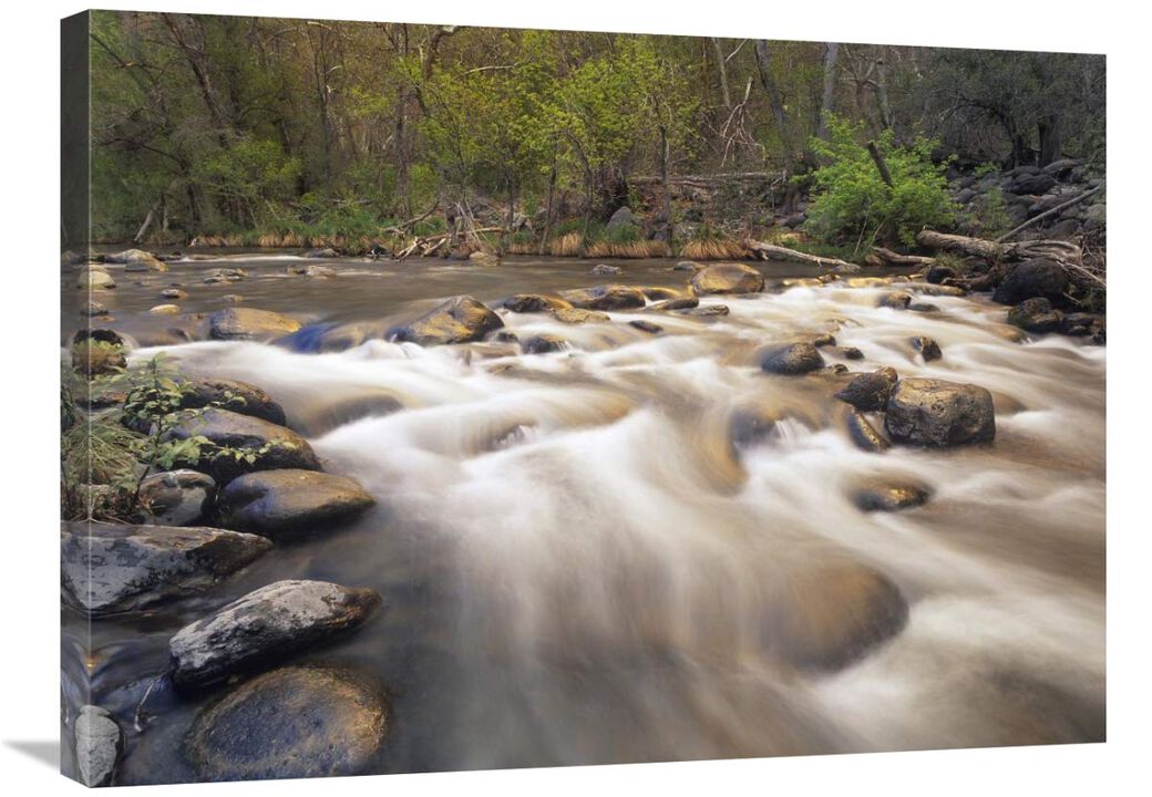 Oak Creek at Grasshopper Point, Sedona, Arizona-Canvas Art-32x24