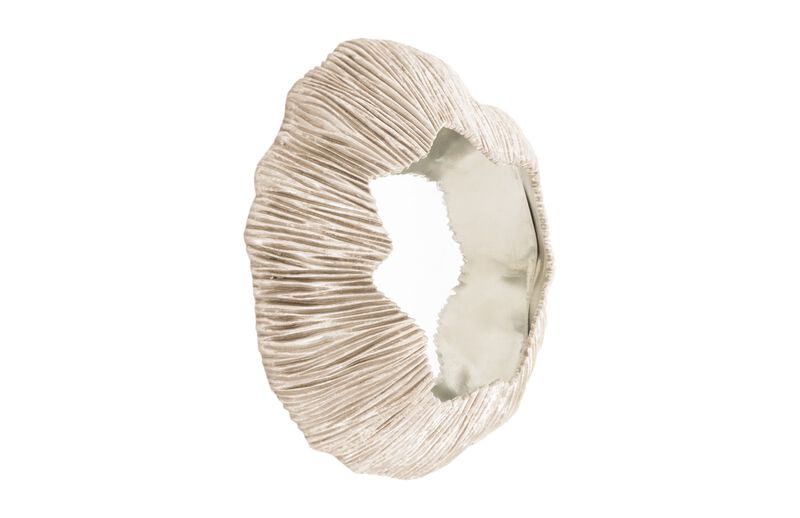 Fungia Mirror