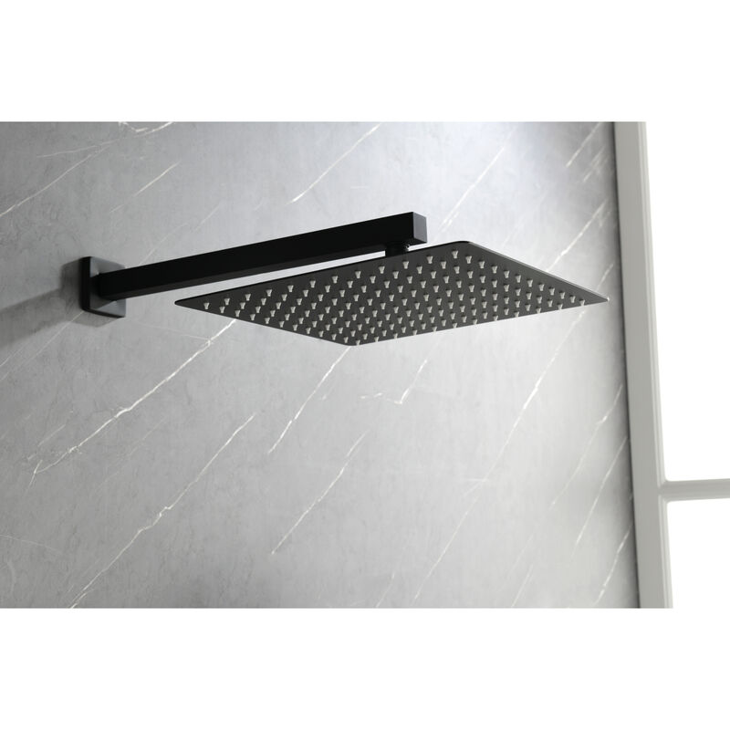 Shower System With Shower Head, Hand Shower, Hose, Valve Trim, Lever Handles And Niche