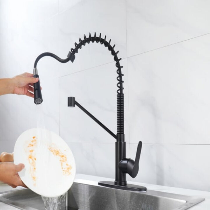 Single Handle Kitchen Sink Faucet with Pull Down Sprayer and Soap Dispenser