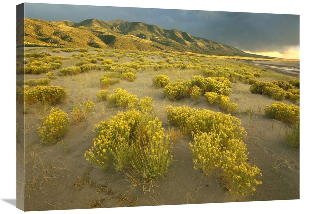 Sangre de Cristo Mountains at Great Sand Dunes National Monument, Colorado-Canvas Art-32x24
